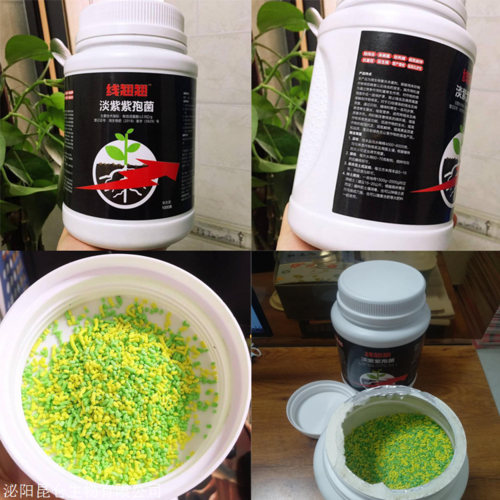 线虫专治 线翘翘 根结线虫专用产品 厂家直销